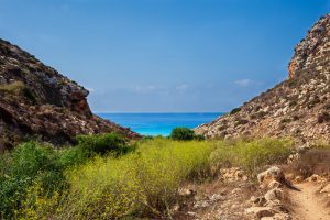 percorso che porta a cala pulcino